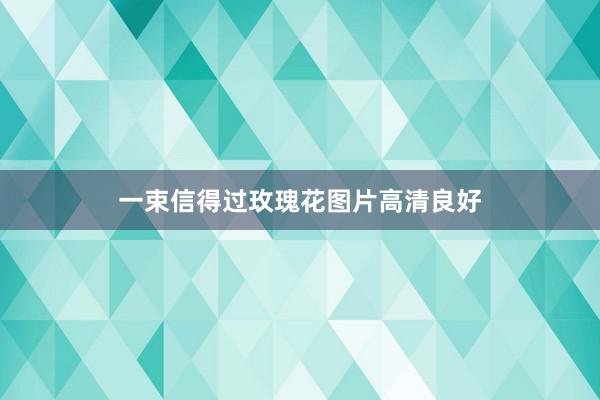 一束信得过玫瑰花图片高清良好