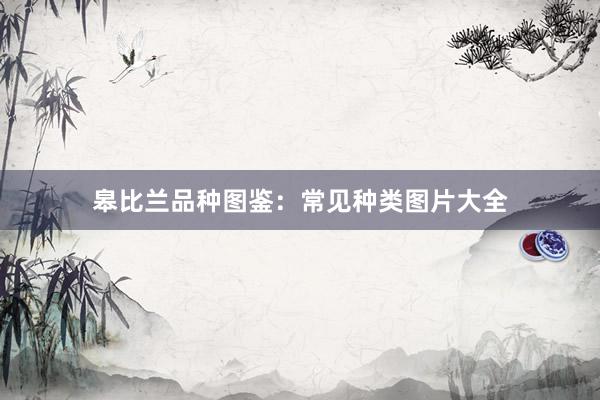 皋比兰品种图鉴：常见种类图片大全