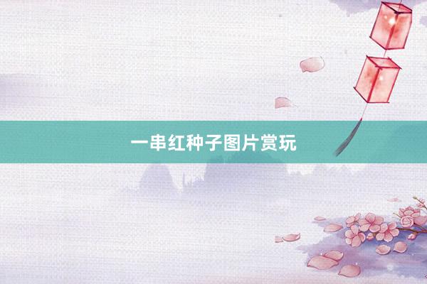 一串红种子图片赏玩