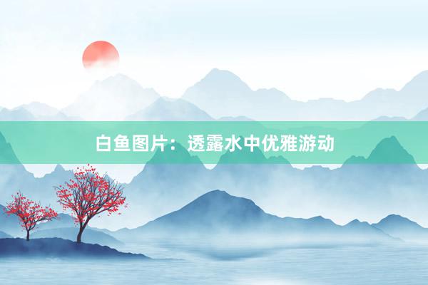 白鱼图片：透露水中优雅游动