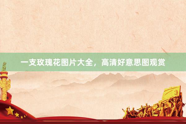 一支玫瑰花图片大全，高清好意思图观赏